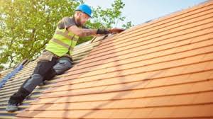 Best Roof Coating and Sealing  in Black Earth, WI