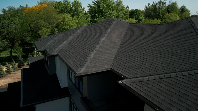 Best Chimney Flashing Repair  in Black Earth, WI
