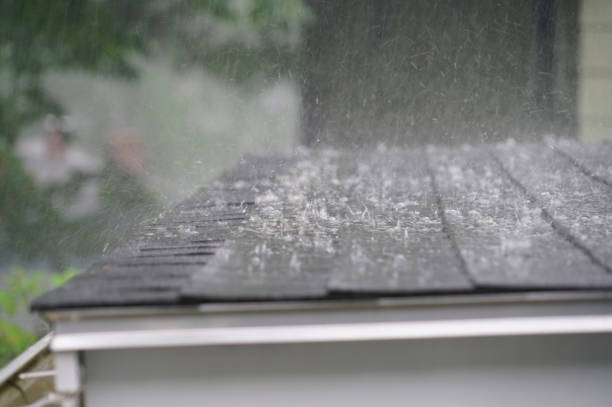  Black Earth, WI Roofing Service Pros